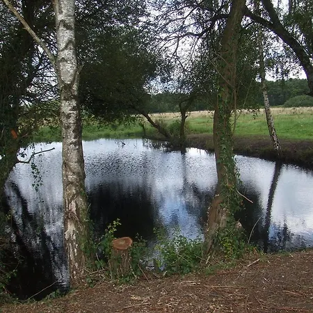 Au Parc Aux Lievres 住宿加早餐酒店 拉弗雷切