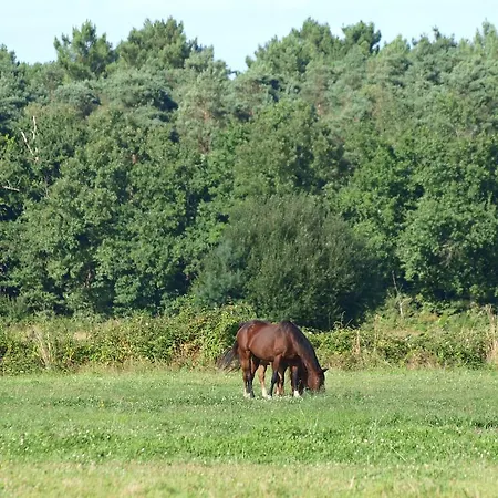Frühstückspension Au Parc Aux Lievres La Flèche