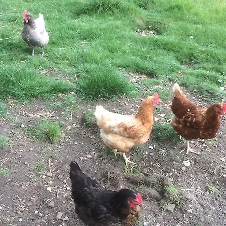 Au Parc Aux Lievres La Flèche