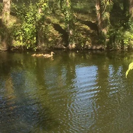 Au Parc Aux Lièvres *