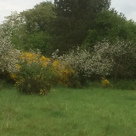 Au Parc Aux Lievres *