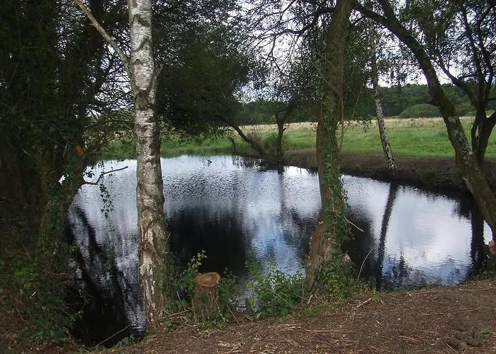Au Parc Aux Lievres فندق مبيت وإفطار لا فْلوش