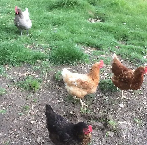 Au Parc Aux Lievres لا فْلوش