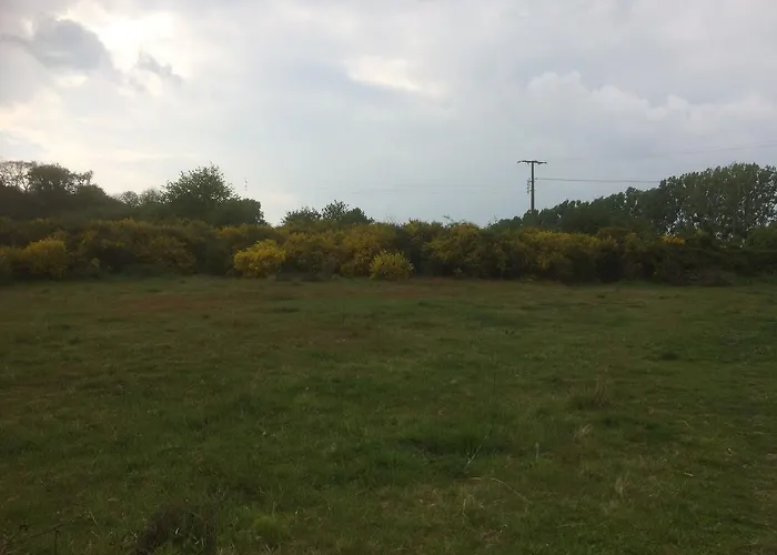 فندق مبيت وإفطار Au Parc Aux Lievres