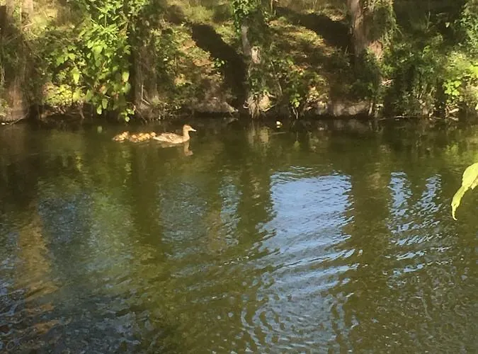 Au Parc Aux Lievres *