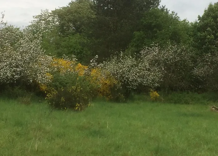 Au Parc Aux Lievres *